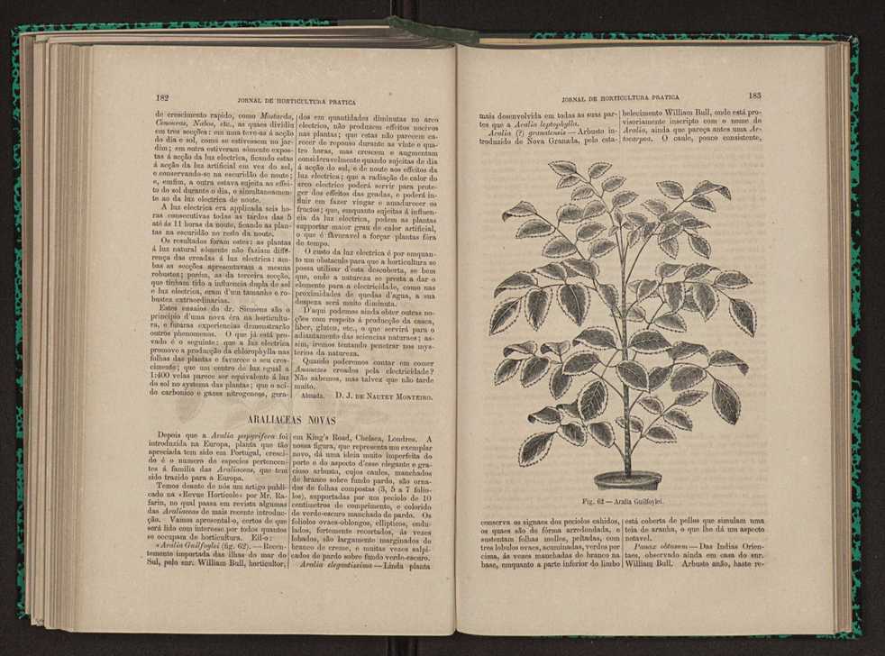 Jornal de horticultura prtica XI 113