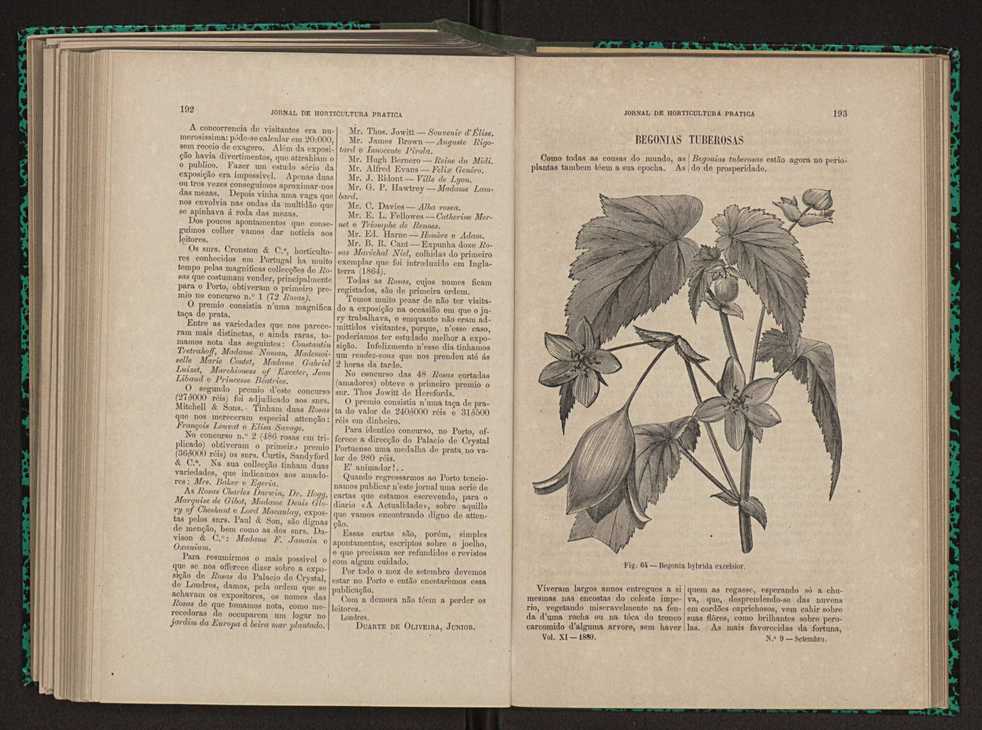 Jornal de horticultura prtica XI 118