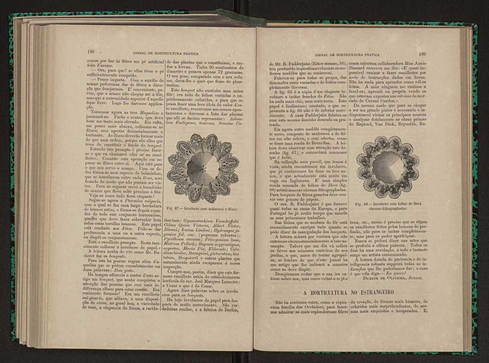 Jornal de horticultura prtica XI 121