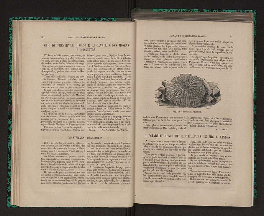 Jornal de horticultura prtica XII 32