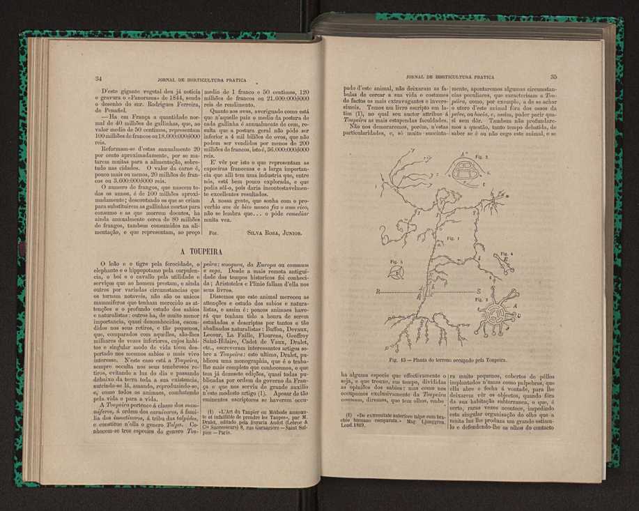 Jornal de horticultura prtica XII 35