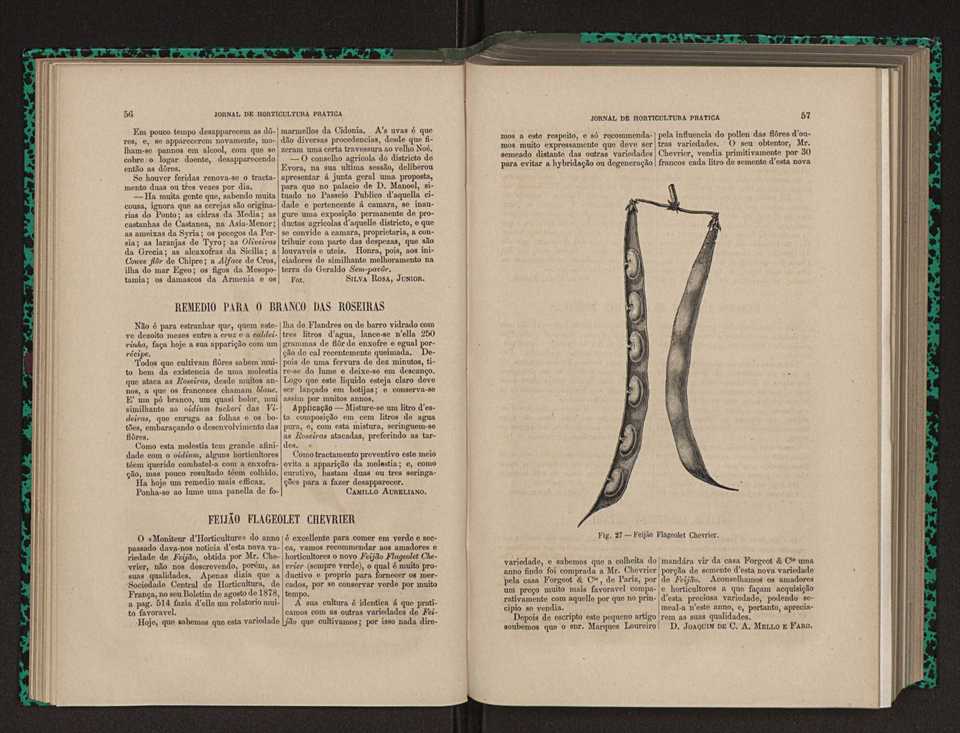 Jornal de horticultura prtica XII 47