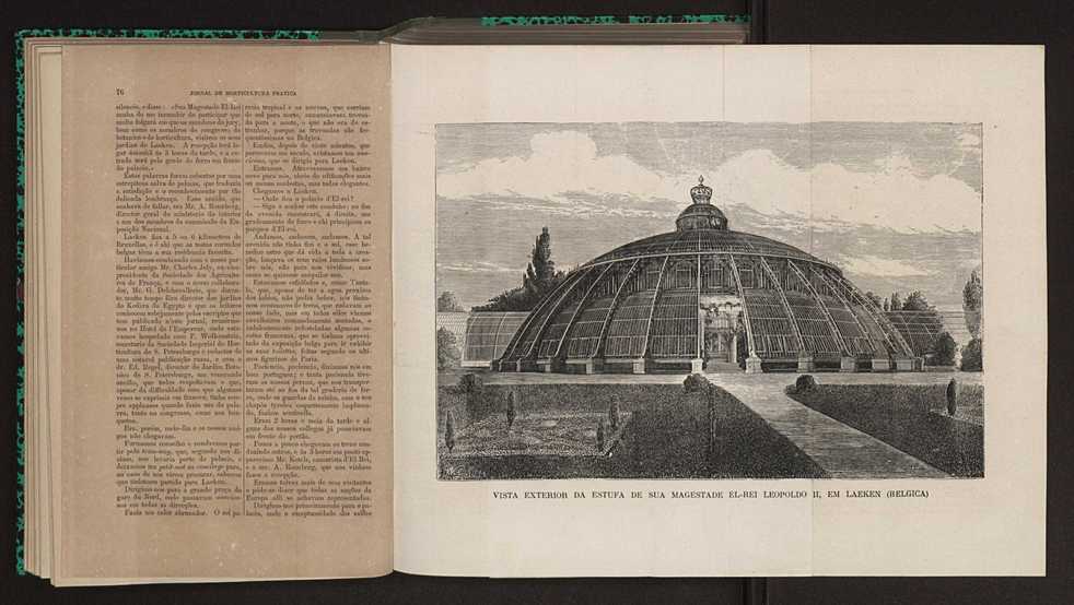 Jornal de horticultura prtica XII 57