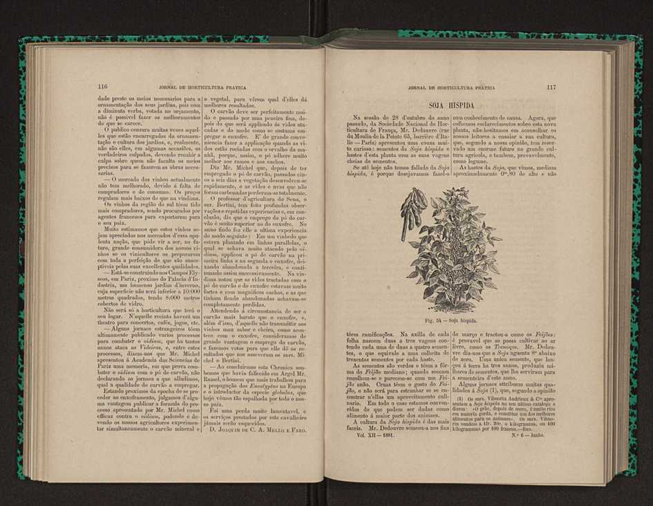 Jornal de horticultura prtica XII 80