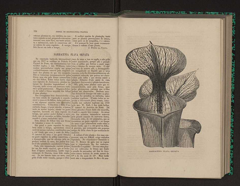 Jornal de horticultura prtica XII 84