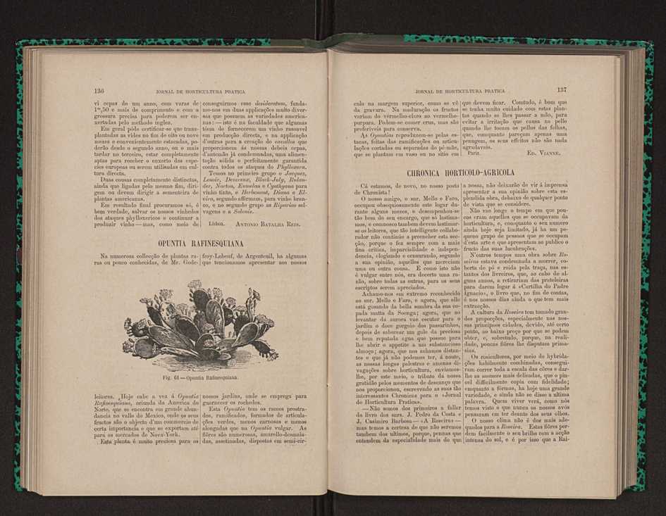 Jornal de horticultura prtica XII 90