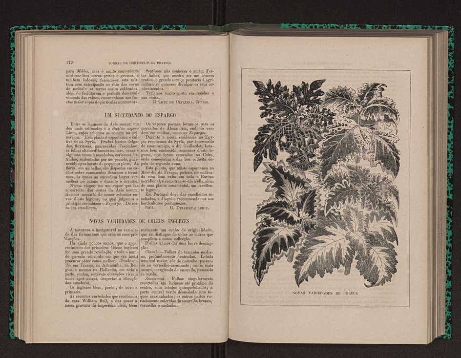 Jornal de horticultura prtica XII 109