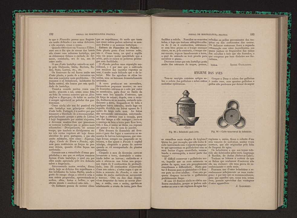 Jornal de horticultura prtica XII 120