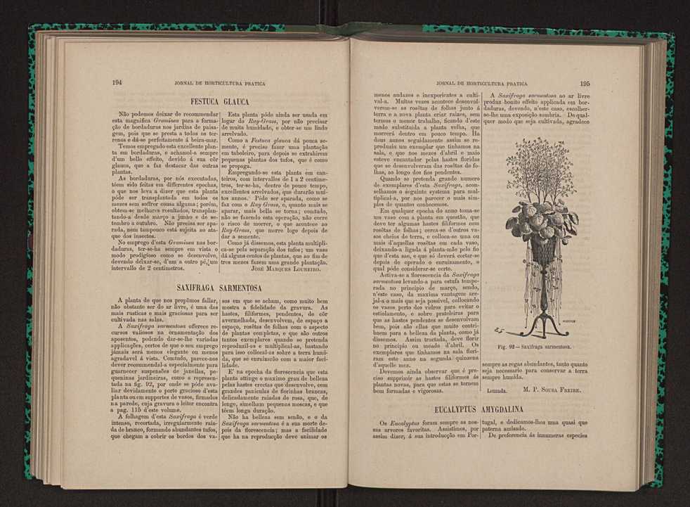 Jornal de horticultura prtica XII 121