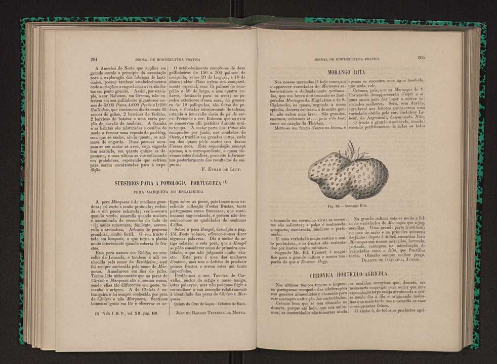 Jornal de horticultura prtica XII 127
