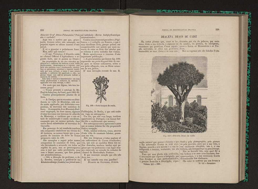 Jornal de horticultura prtica XII 140