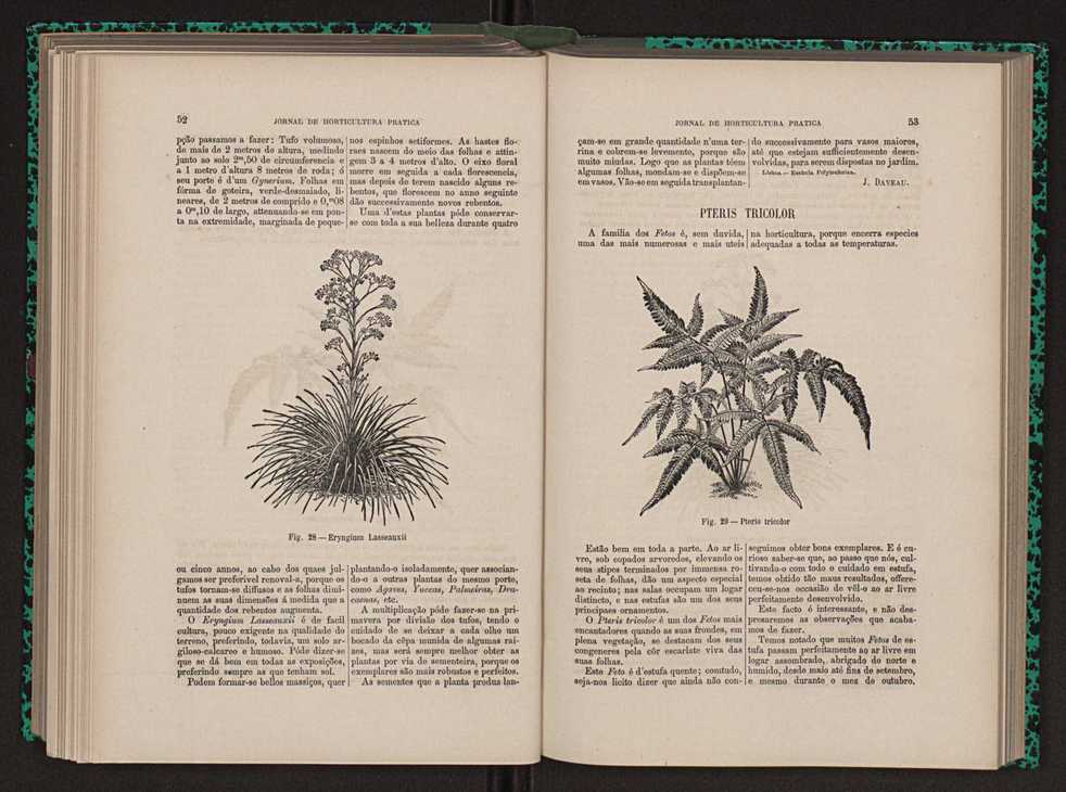 Jornal de horticultura prtica XIII 39