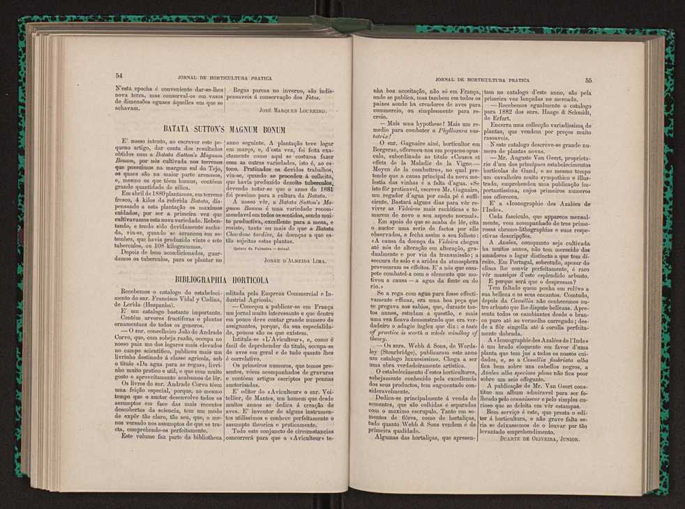 Jornal de horticultura prtica XIII 40