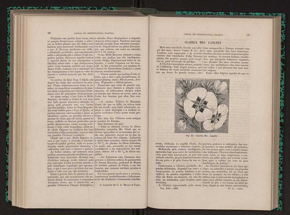 Jornal de horticultura prtica XIII 43