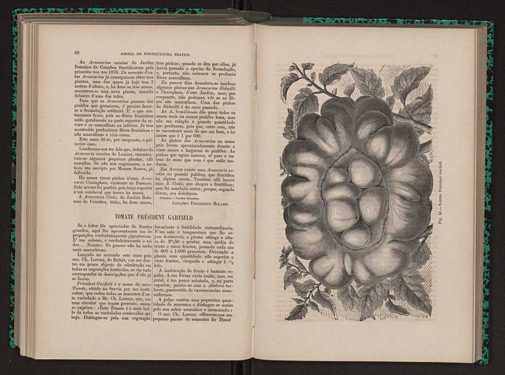 Jornal de horticultura prtica XIII 57