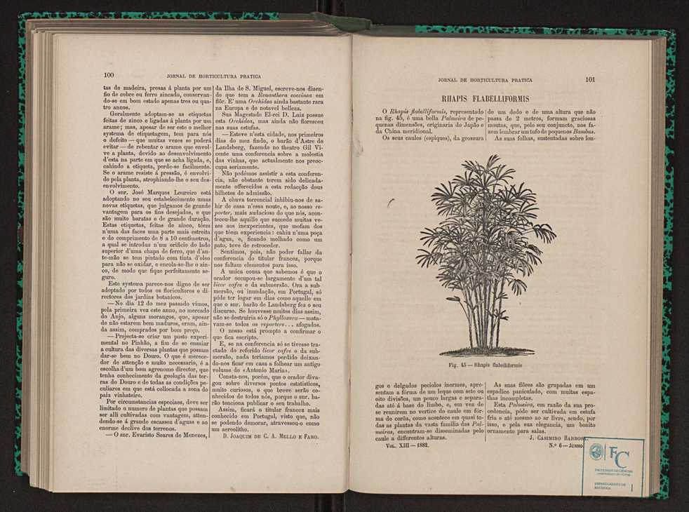Jornal de horticultura prtica XIII 63