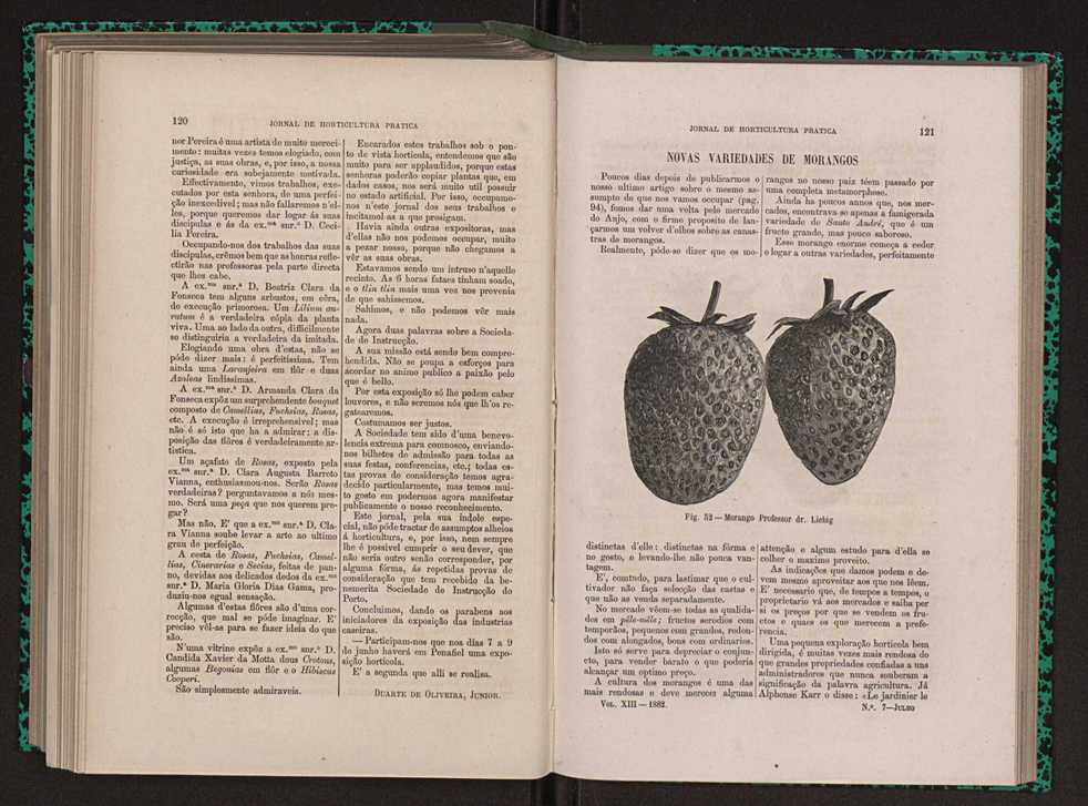 Jornal de horticultura prtica XIII 74