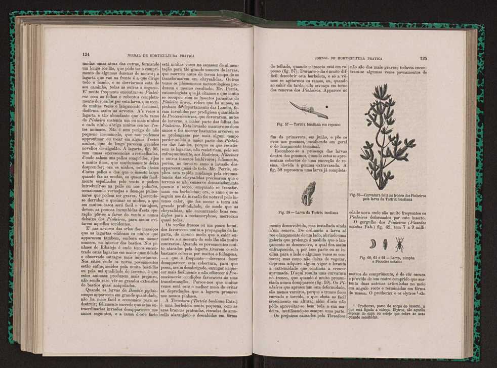Jornal de horticultura prtica XIII 76