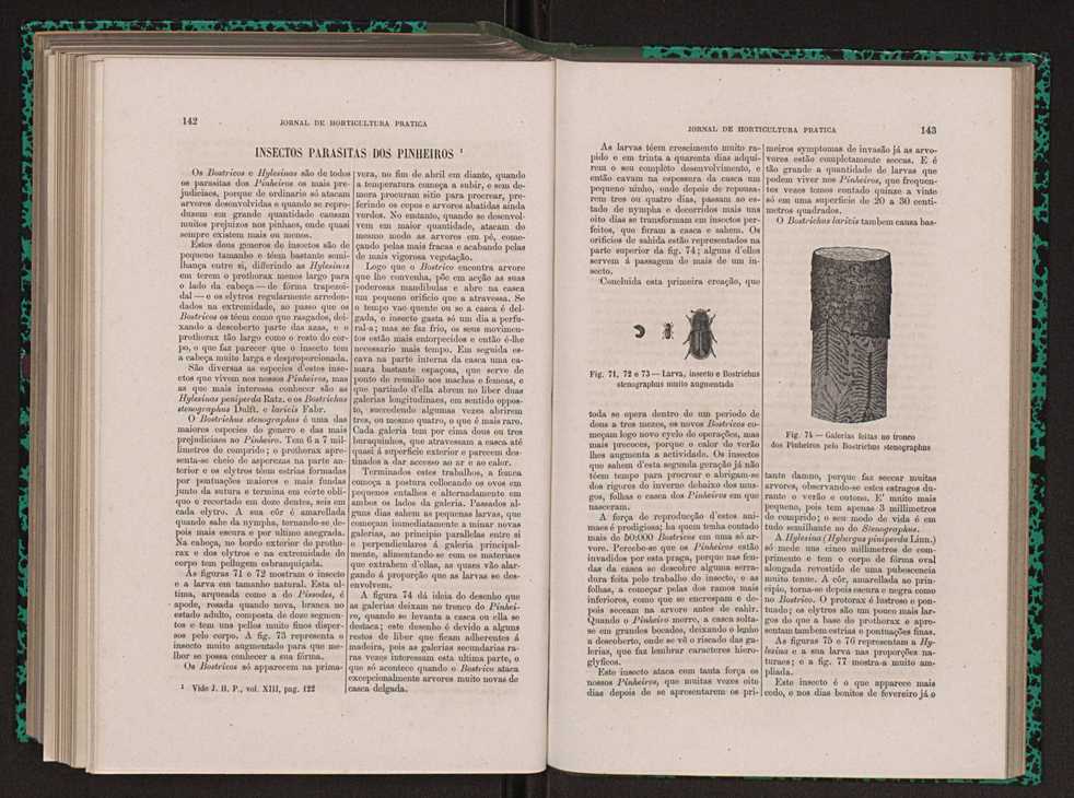 Jornal de horticultura prtica XIII 86