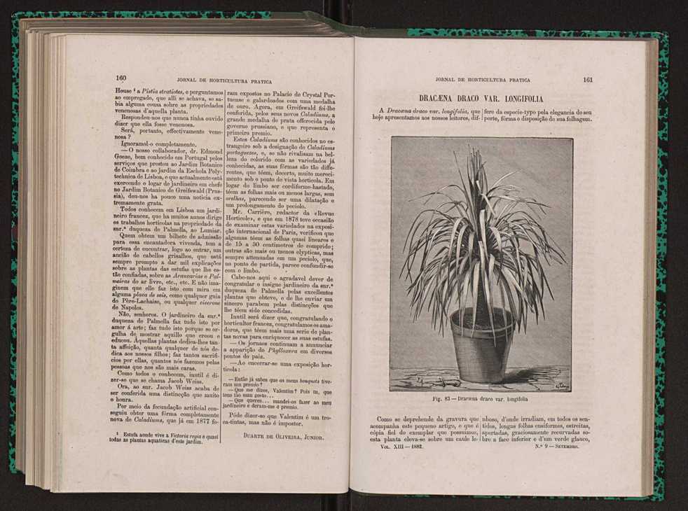 Jornal de horticultura prtica XIII 96