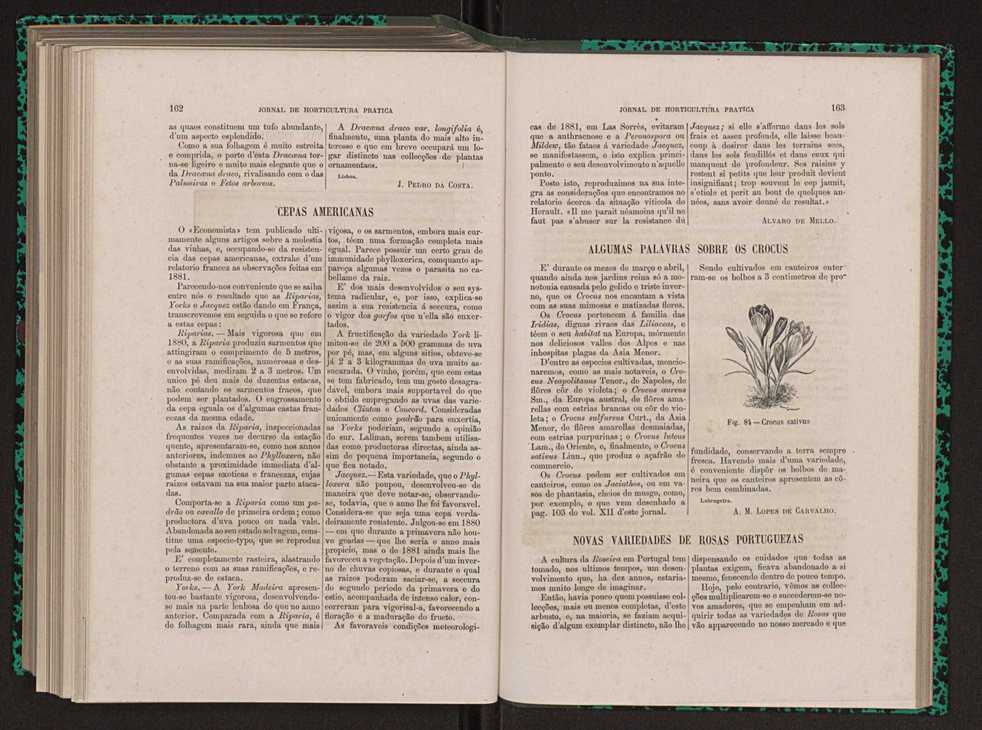 Jornal de horticultura prtica XIII 97