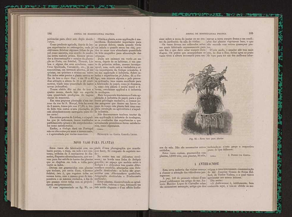 Jornal de horticultura prtica XIII 108