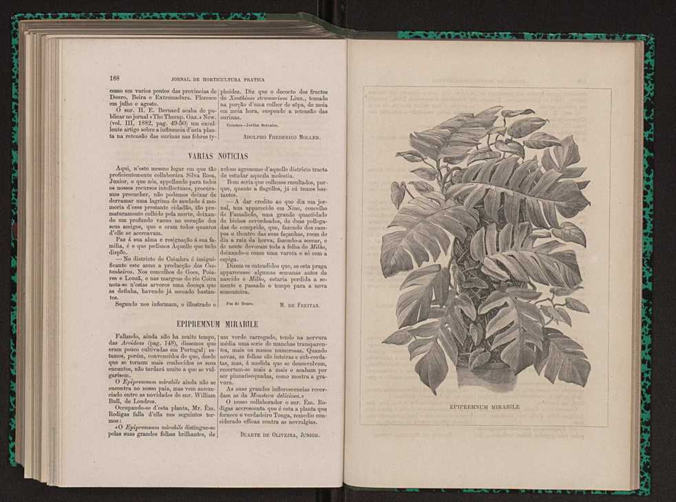 Jornal de horticultura prtica XIII 110