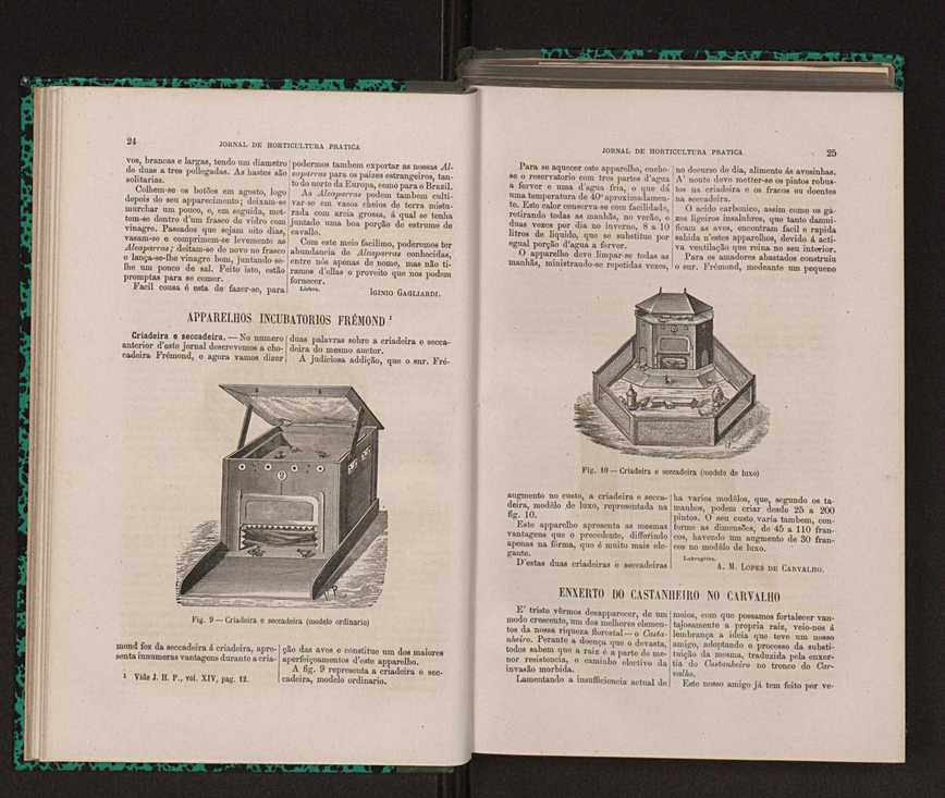 Jornal de horticultura prtica XIV 26