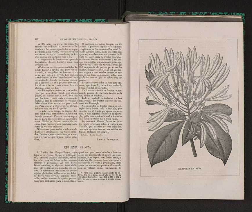 Jornal de horticultura prtica XIV 49