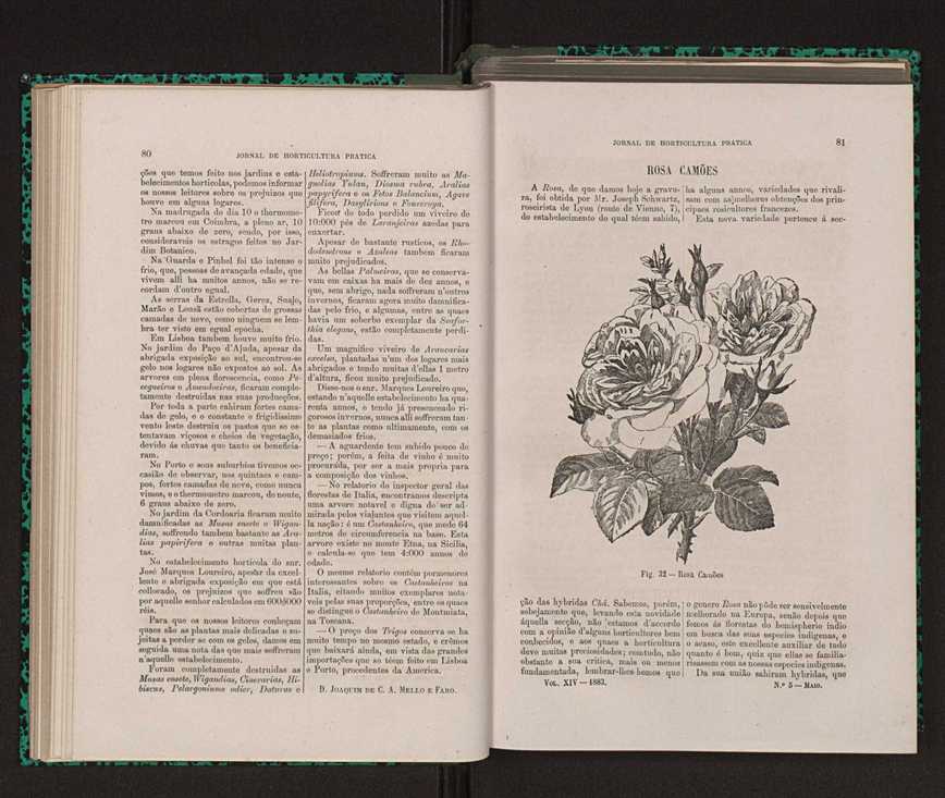 Jornal de horticultura prtica XIV 56