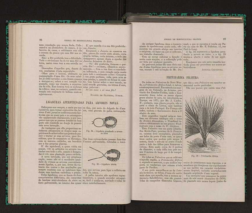Jornal de horticultura prtica XIV 59
