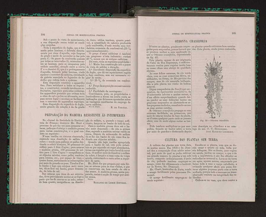 Jornal de horticultura prtica XIV 69
