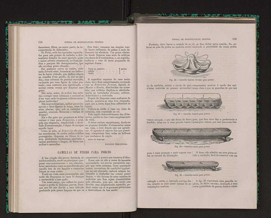 Jornal de horticultura prtica XIV 75