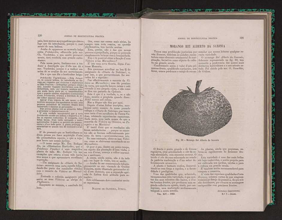 Jornal de horticultura prtica XIV 78