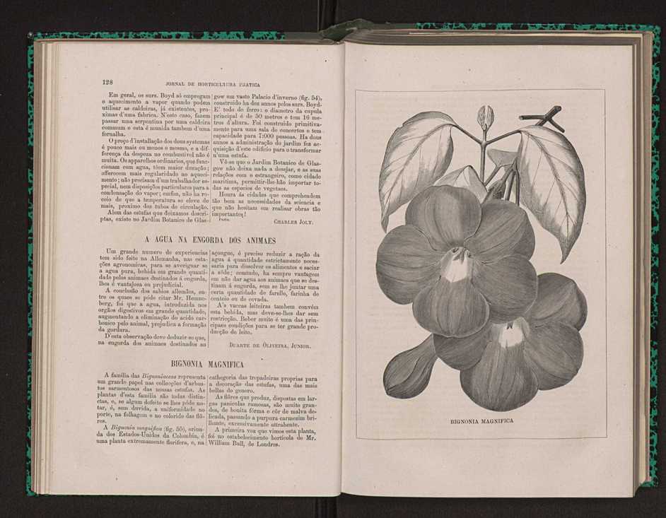 Jornal de horticultura prtica XIV 82