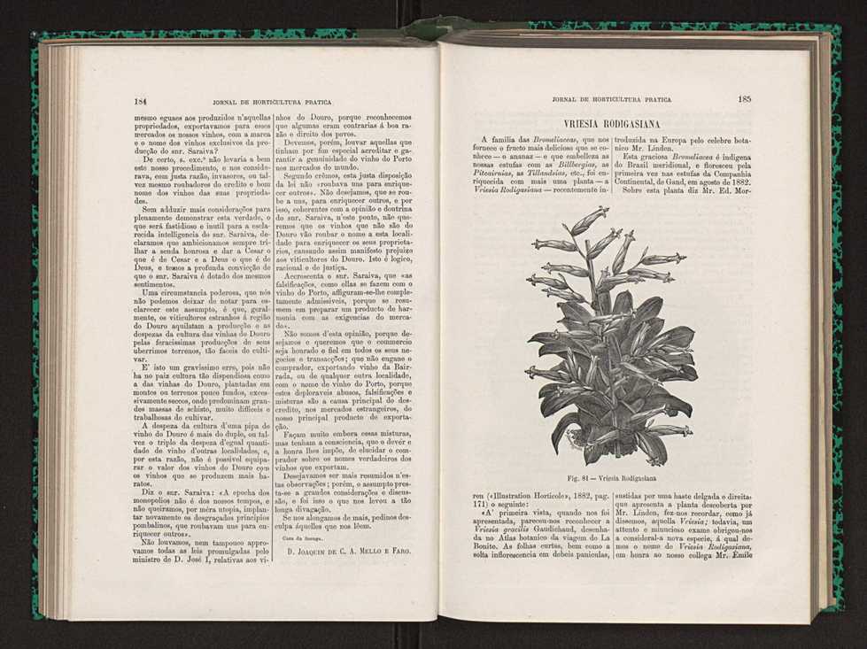 Jornal de horticultura prtica XIV 113