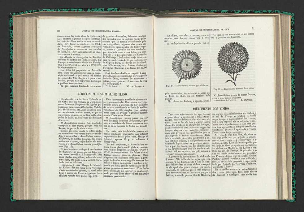 Jornal de horticultura prtica XV 26