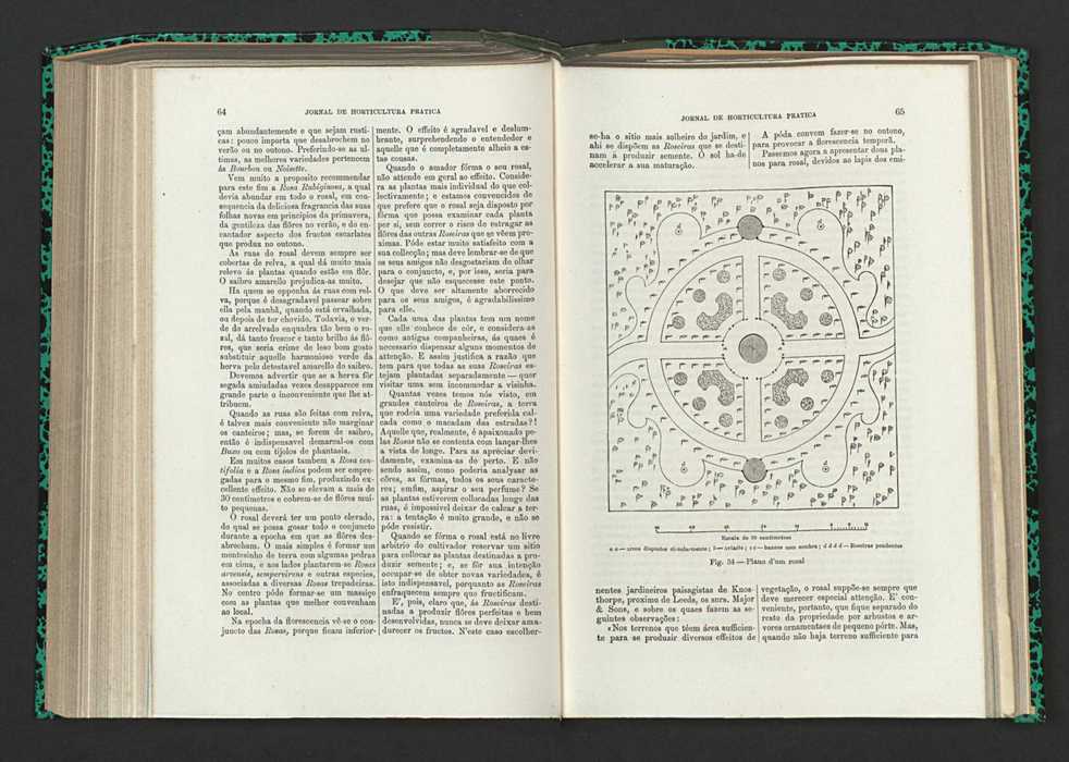 Jornal de horticultura prtica XV 46