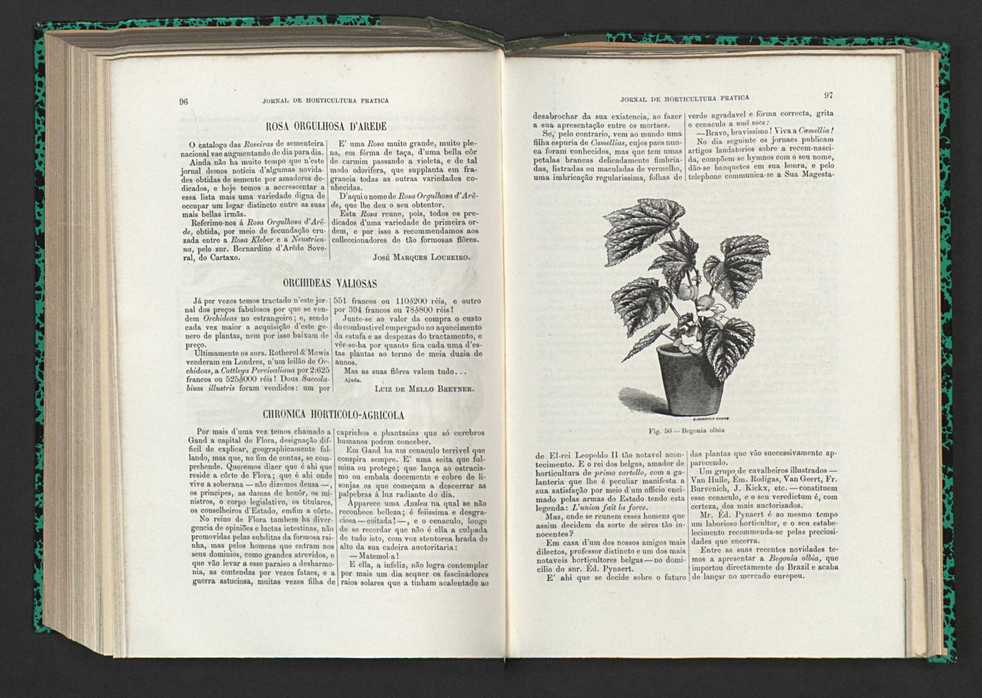 Jornal de horticultura prtica XV 65