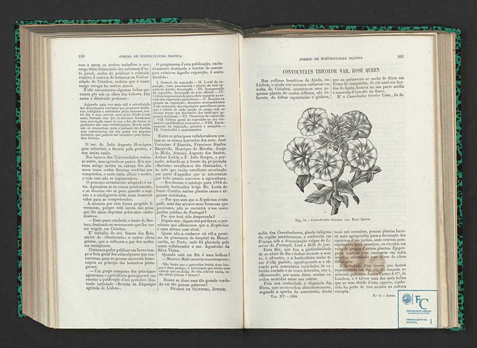 Jornal de horticultura prtica XV 67