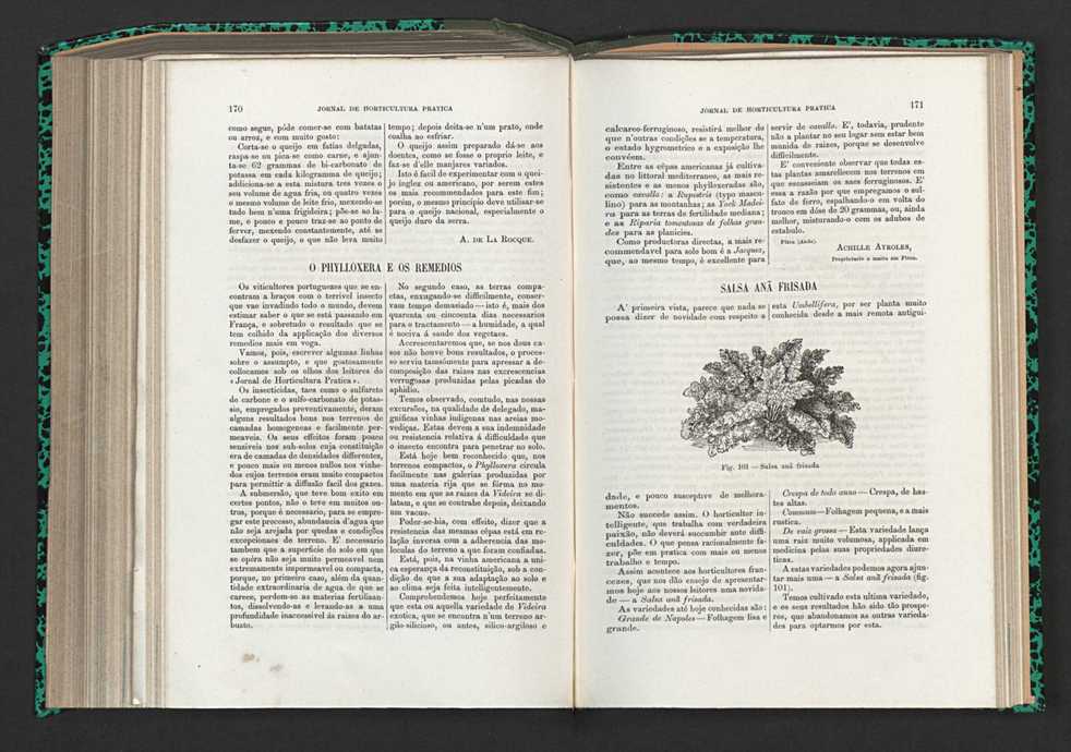 Jornal de horticultura prtica XV 108