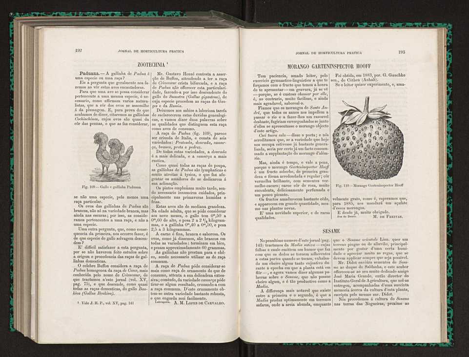 Jornal de horticultura prtica XV 121