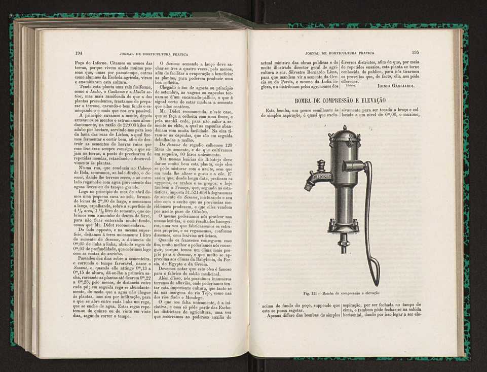 Jornal de horticultura prtica XV 122