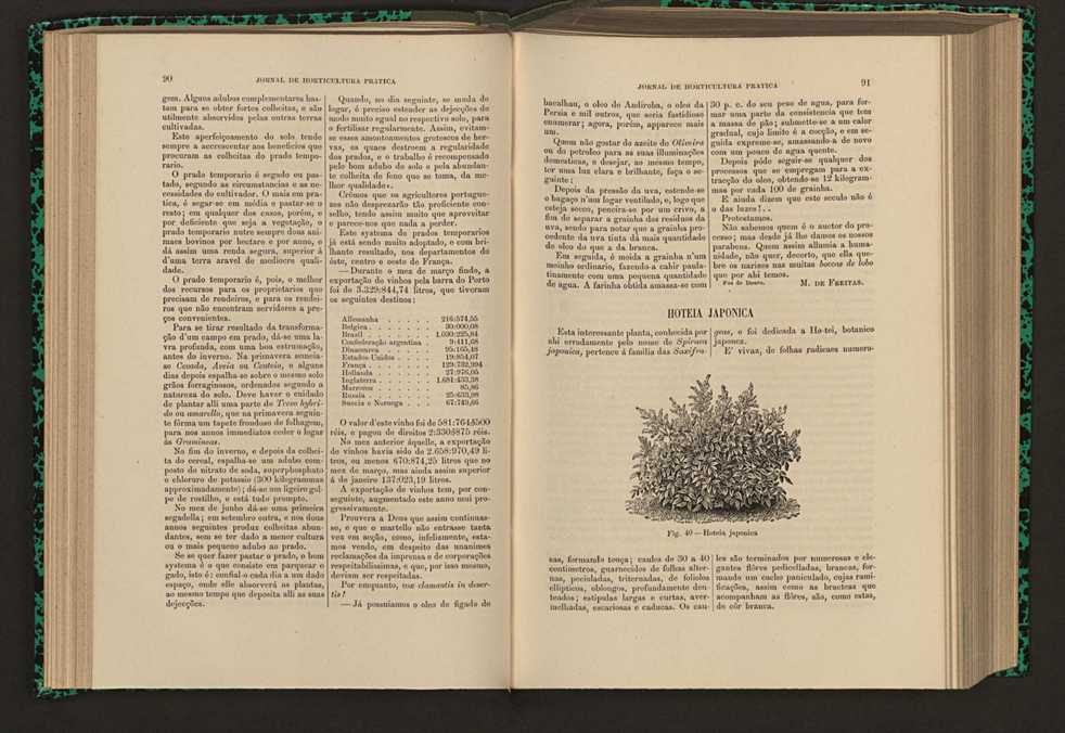 Jornal de horticultura prtica XVI 64