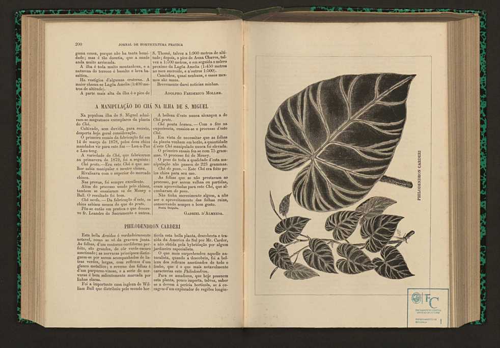 Jornal de horticultura prtica XVI 123
