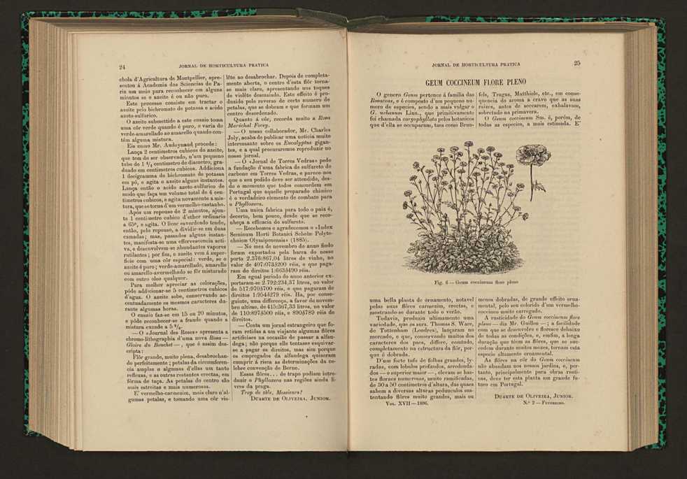 Jornal de horticultura prtica XVII 24