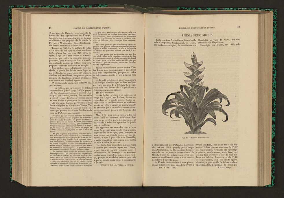 Jornal de horticultura prtica XVII 37