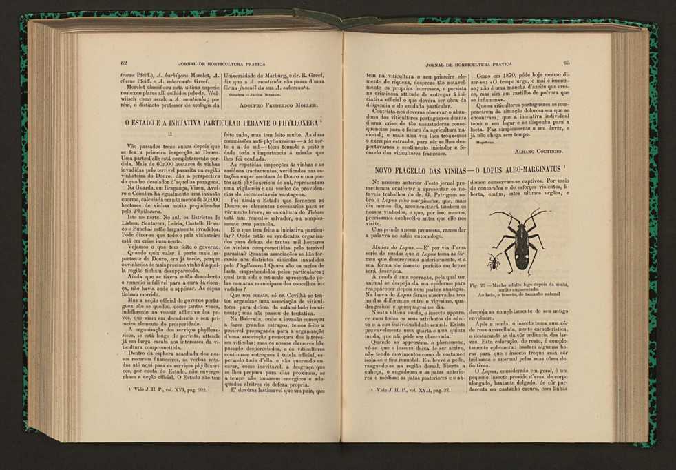 Jornal de horticultura prtica XVII 45