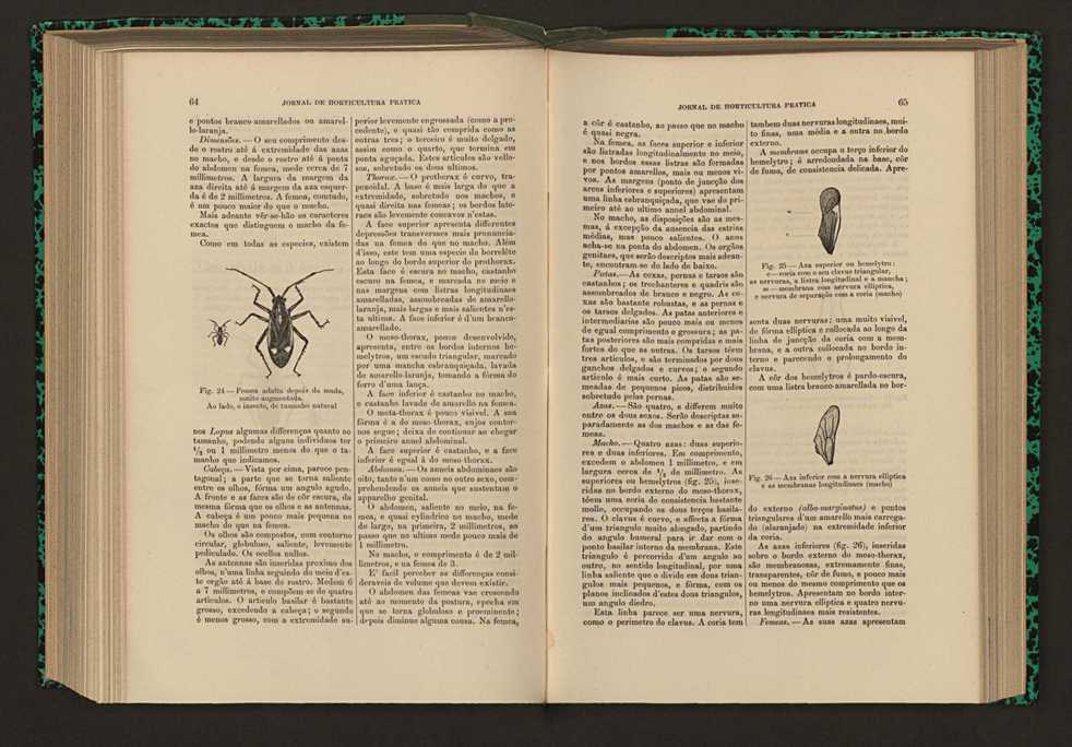 Jornal de horticultura prtica XVII 46