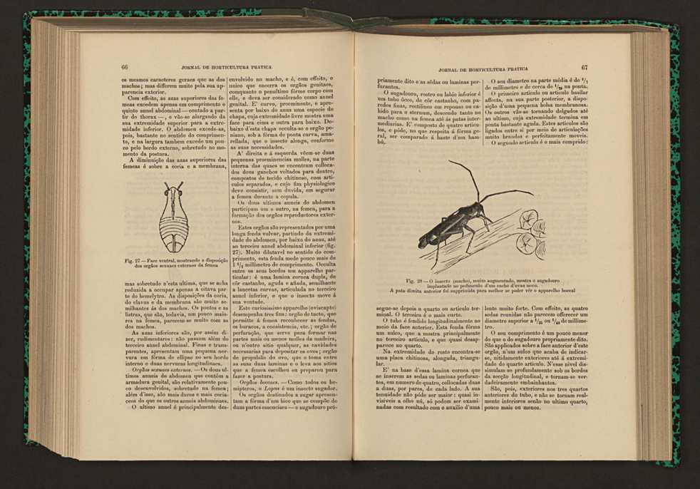 Jornal de horticultura prtica XVII 47